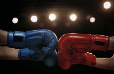 Close Up of Boxers Touching Boxing Gloves Before Fight